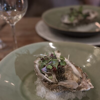 Ponte Farm to Table - 