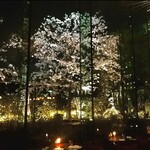 TRATTORIA CREATTA - サクラ