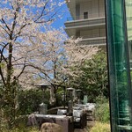 TRATTORIA CREATTA - サクラ