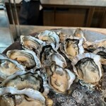 オールデイダイニング セリーズ - 