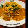 旨辛カレー専門店 白洋亭