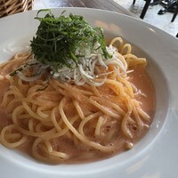 シャイニーアウル 表参道 - 