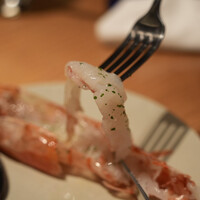 THE RIGOLETTO - 