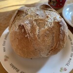 ナッシュカッツェ - 