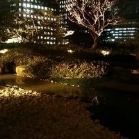 中国飯店 琥珀宮 - 