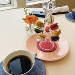 メゾン フジヤ ハコダテ - 