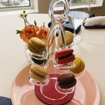 メゾン フジヤ ハコダテ - 