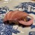 立喰すし魚河岸 山治 - 料理写真:
