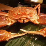 さかなや　いぬい - 