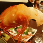 さかなや　いぬい - 