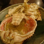 さかなや　いぬい - 