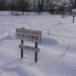 モレーナ - 夏場はここで野菜やハーブを栽培します