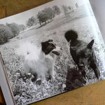 モレーナ - ウッシーとチャーリーの思い出