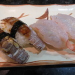 春駒 - しゃこ＆生えび