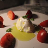 L'atelier de oto - 
