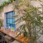 北海道おにぎりスタイル 回 - 