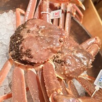 かにじぇんぬ 北新地 - 