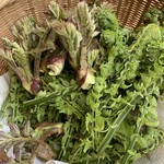 Soba Dokoro Yabu Karuizawa Ten