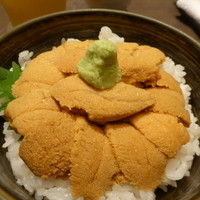 函館うに むらかみ 日本生命札幌ビル店 - スペシャル無添加生うに丼