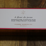 ピエール マルコリーニ - 