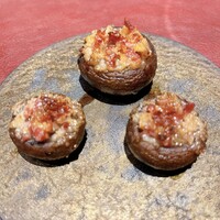 Potoro - 