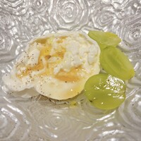 Potoro - 