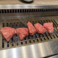 USHIGORO S. SHINJUKU - 