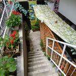 定食酒場食堂 - 