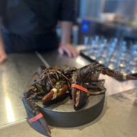 PLEIN 銀座本店 - 