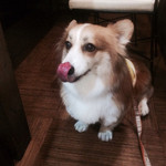 らーめん 軽菜 - 早く食べたいなぁ…
2014.7訪問^ ^