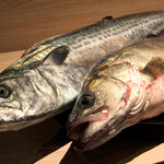 プラットスタンド酛 - 