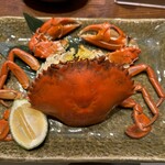 魚料理専門 魚魚一 - 浜名湖どうまん蟹
