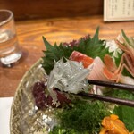 魚料理専門 魚魚一 - 刺身の盛り合わせ
      遠州灘、浜名湖の地魚