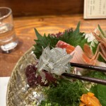 魚料理専門 魚魚一 - 刺身の盛り合わせ
      遠州灘、浜名湖の地魚