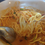 タイカレーラーメン シャム - シャム, タイカレーラーメン(チキン) 麺