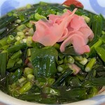 手打ちラーメン 金龍 - たっぷりの博多万能ねぎ♪