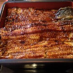 うなぎ 量深 - 鰻アップ。お見事な焼き色