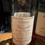 ドンナ・セルヴァーティカ - 