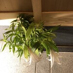 すし処 めくみ - 