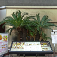 南国酒家 原宿本店 - 看板が賑やかになりました