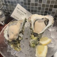 Oysterbar&Wine BELON 渋谷店 - 