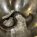 地焼鰻寝床 中目黒店 - 