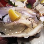新和食 きくい - 生牡蠣
