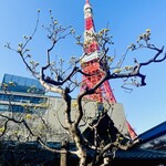 東京 芝 とうふ屋うかい - 