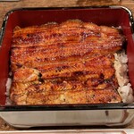 うなちゃん(〆のうな重)