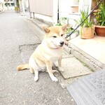 ラ カーサ ディ エミー - 