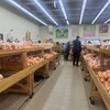 太陽市 - 愛媛県は柑橘類出荷が日本一！