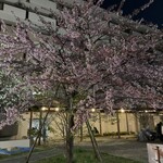 ヌードル＆スパイスカレー 今日の1番 - 