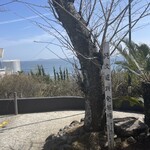 ダイニング サロン オサキ和カフェ - 