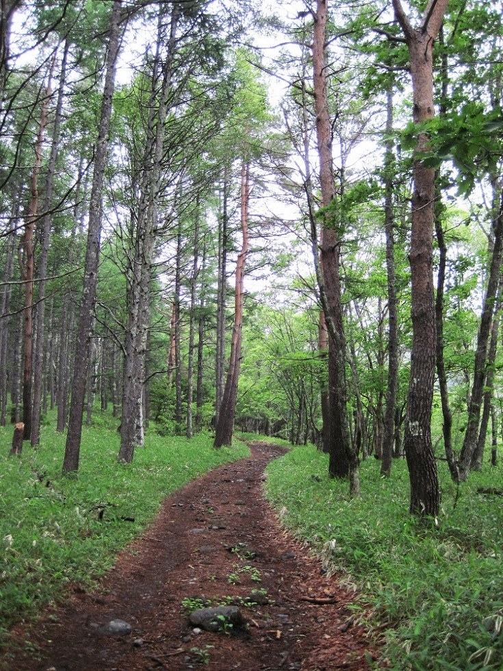 青年小屋 name=